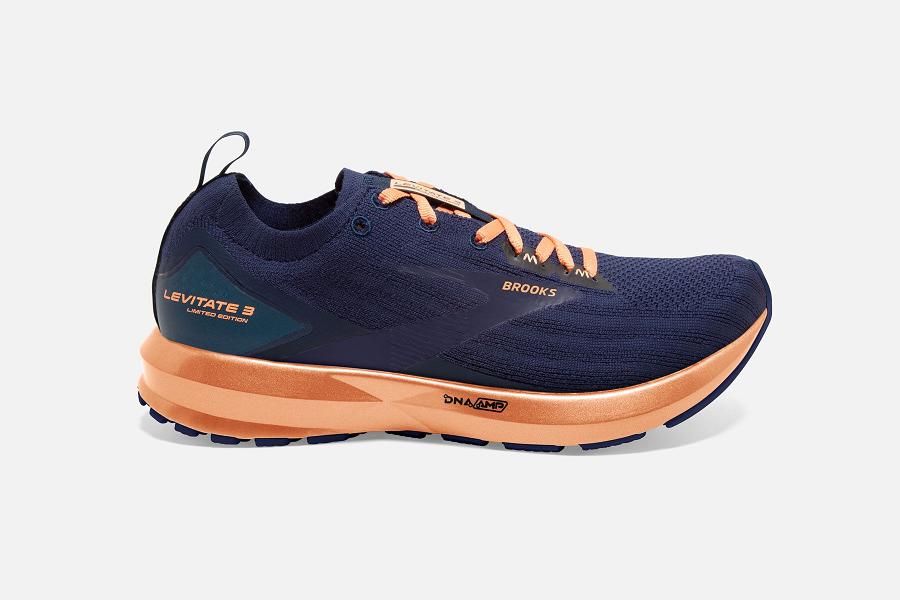 Παπούτσια Για Τρέξιμο Brooks Levitate 3 LE Γυναικεια Μπλε GR951427